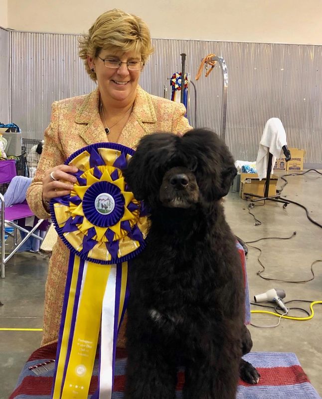 Jandal evaluationluchia